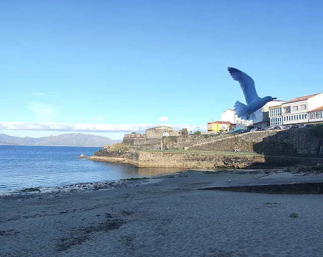 Albergue Mar del Plata