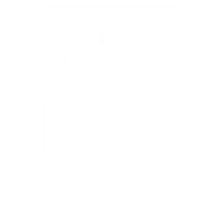 Icono