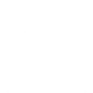 Icono